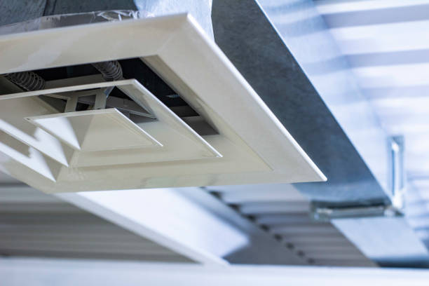 Best Air Duct Mold Removal  in Rlborough, MA